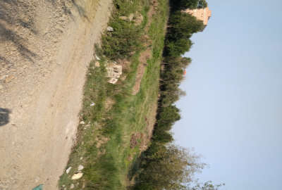 زمین ۱۳۰۰ متری واقع در روستای ارمک