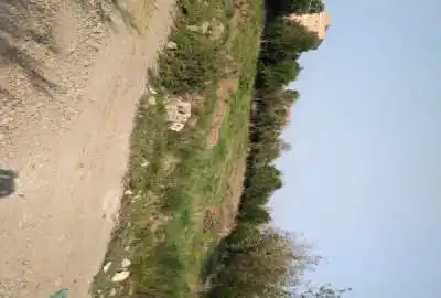 زمین ۱۳۰۰ متری واقع در روستای ارمک