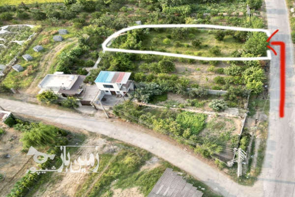 زمین باغی ۴۵۰ متر در جاده جویبار روستای آبکسر-1