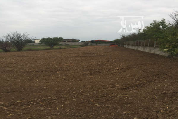 زمین ۱۲۰۰ متر در روستای هلی بهنمیر-4