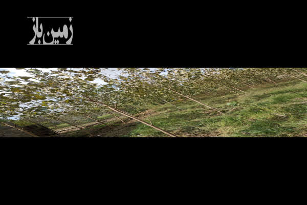 زمین مسکونی باغی ۴۷۰۰ متر در رشت روستایی-2