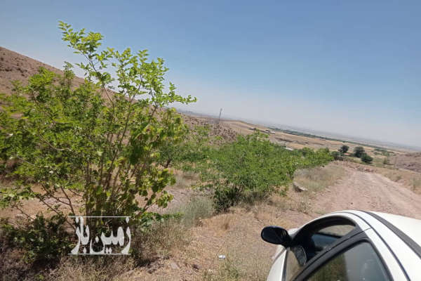 زمین ۵۰۰ متر در قزوین روستای امامزاده اباذر-1