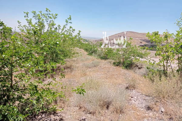 زمین ۵۰۰ متر در قزوین روستای امامزاده اباذر-2