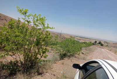 زمین ۵۰۰ متر در قزوین روستای امامزاده اباذر