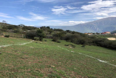 زمین ۵۰۰ متری ییلاقی کوهستانی فشکور لاروسر