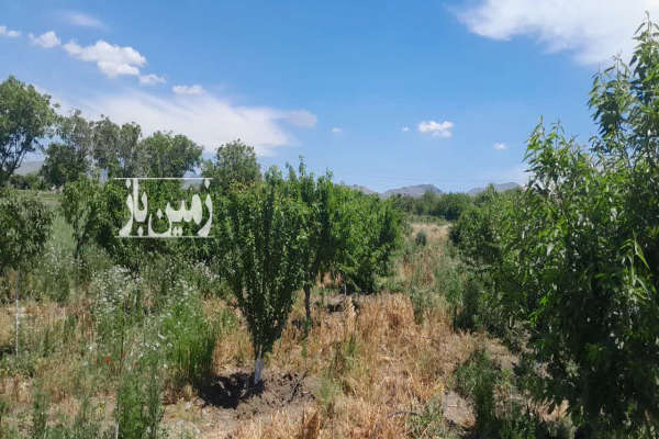 زمین ۳۶۰۰ متر با مجوز گلخانه کامیاران روستای خانم آباد-1