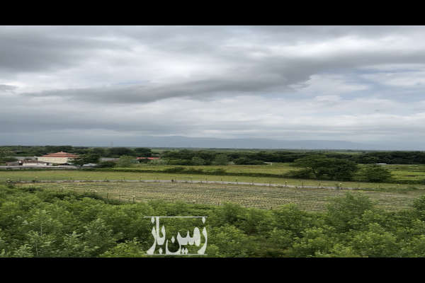 زمین ۲۵۰ متری در ورودی روستای چمن-2