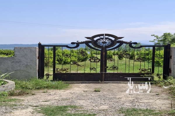 زمین ۳۱۰ متر جنگلی جاده امل به بابل روستای پاشاکلا-1