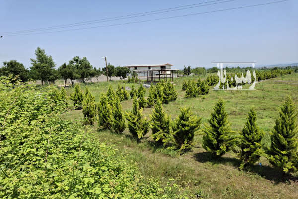 زمین ۳۱۰ متر جنگلی جاده امل به بابل روستای پاشاکلا-2