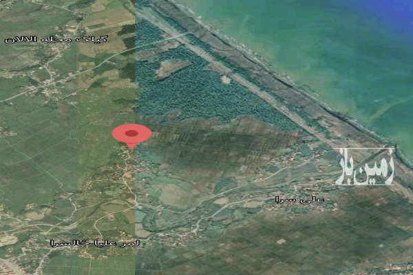 زمین باغی با موقعیت عالی در فاصله ۱ کیلومتری دریا و جنگل-1