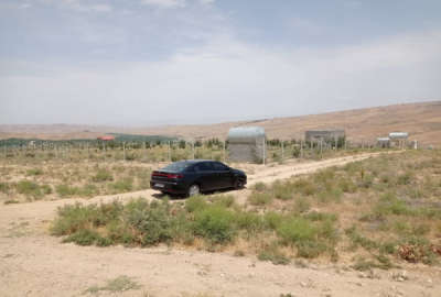 زمین در جاده قدیم بدرانلو روبروی روستای عرب ۳ هکتار