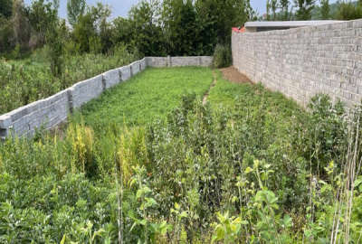 زمین ۴۰۰ متر واقع در اول روستای نوده