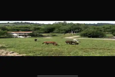 زمین ۵۰۰ متری در جاده ساری کیاسر روستای سادات محله