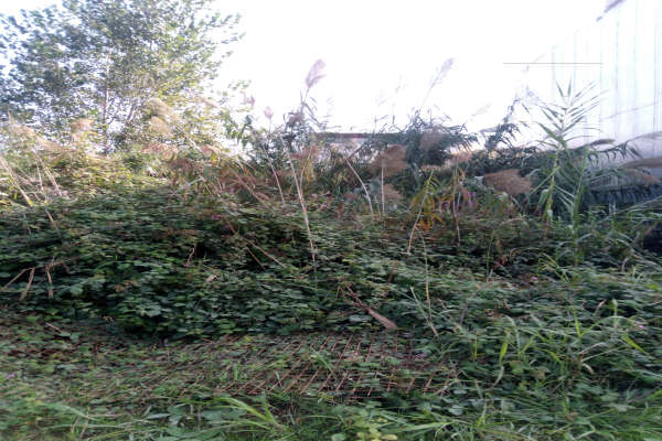 فروش فوری زمین شهرکی شهرک الهیه فریدونکنار ۱۵۲ متر-1