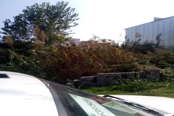 فروش فوری زمین شهرکی شهرک الهیه فریدونکنار ۱۵۲ متر-2