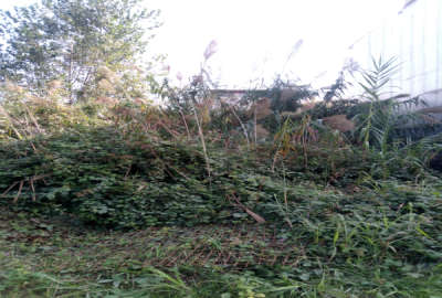 فروش فوری زمین شهرکی شهرک الهیه فریدونکنار ۱۵۲ متر