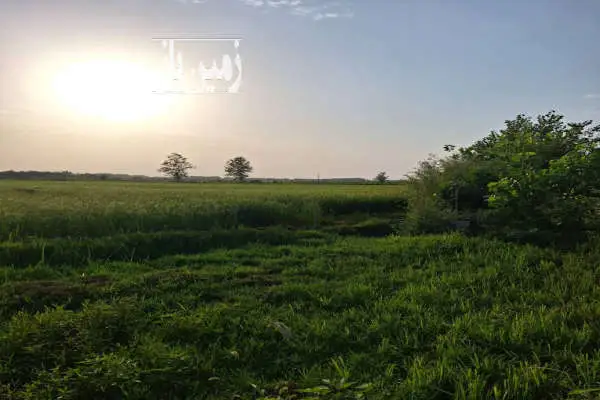 زمین کشاورزی خیلی عالی برای سرمایه گذاری ۱۵۰۰ متر - تصویر 2