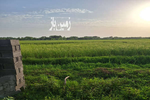 زمین کشاورزی خیلی عالی برای سرمایه گذاری ۱۵۰۰ متر-4