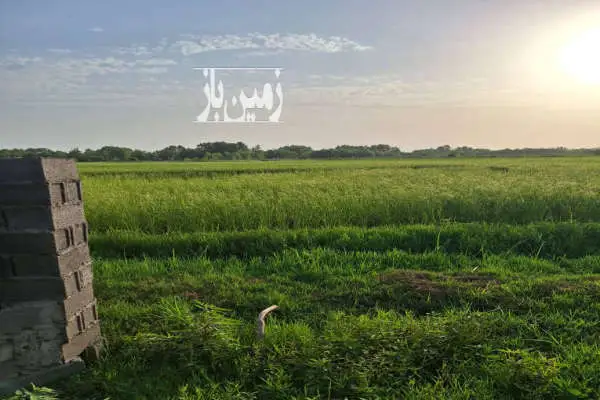 زمین کشاورزی خیلی عالی برای سرمایه گذاری ۱۵۰۰ متر - تصویر 4