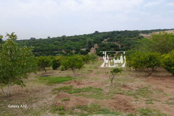 زمین باغی قابل ساخت در روستای مرمت ۱۷۰ متر-1