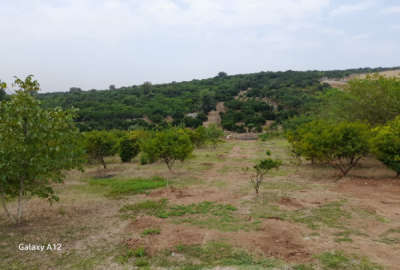 زمین باغی قابل ساخت در روستای مرمت ۱۷۰ متر