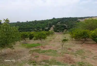 زمین باغی قابل ساخت در روستای مرمت ۱۷۰ متر