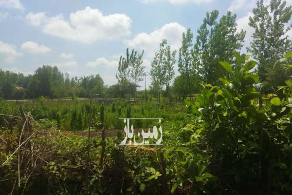 یک قطعه زمین در ماسال روستای وردوم ۴۲۶ متر-1