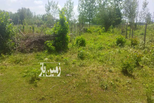 یک قطعه زمین در ماسال روستای وردوم ۴۲۶ متر-2