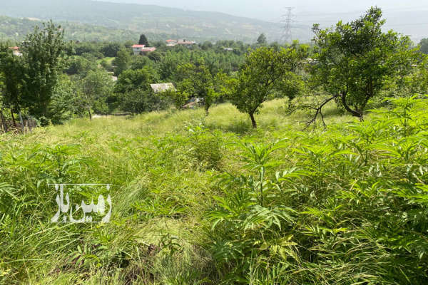 زمین در روستای وارد محله ویو عالی ۴۵۰۲ متر-4