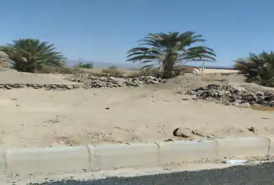 زمین تجاری سیب سوران سیب بالدان سرجاده اصلی ۵۰ متر