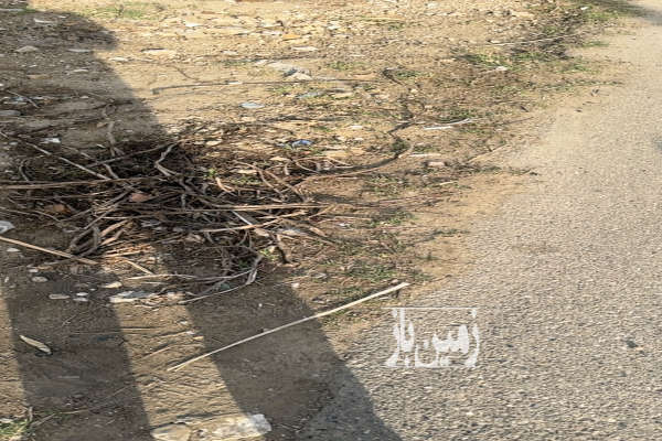 زمین مسکونی روستای قوینلی فجر ۲۴۶ متر-1