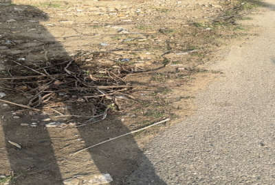 زمین مسکونی روستای قوینلی فجر ۲۴۶ متر