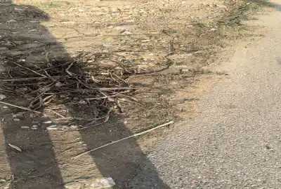 زمین مسکونی روستای قوینلی فجر ۲۴۶ متر