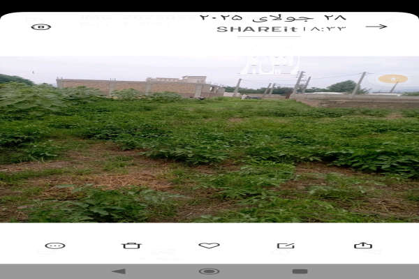 زمین ۱۰۰۰ متر روستای تراجیق میانکوه-4