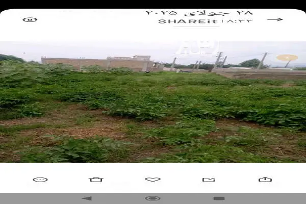 زمین ۱۰۰۰ متر روستای تراجیق میانکوه - تصویر 4