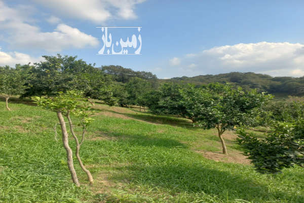 زمین کشاورزی روستای گل افشان ۴۰۰۰ متر-1