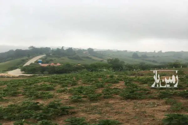 زمین ۱۳۰۰ متری در روستای محمداباد بهشهر - تصویر 3