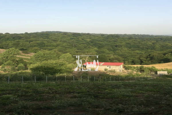 زمین ۱۳۰۰ متری در روستای محمداباد بهشهر-4