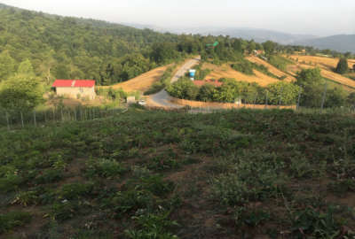 زمین ۱۳۰۰ متری در روستای محمداباد بهشهر