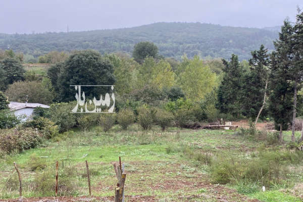 زمین ۳۰۰ متری در روستای پهنه کلا جنوبی-1