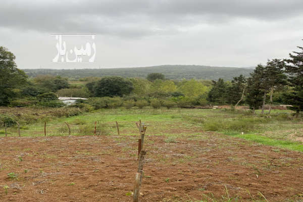 زمین ۳۰۰ متری در روستای پهنه کلا جنوبی-2