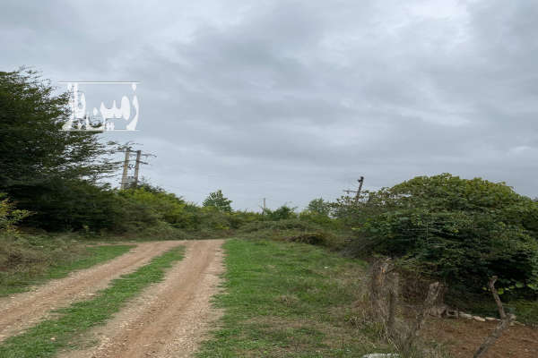 زمین ۳۰۰ متری در روستای پهنه کلا جنوبی-3