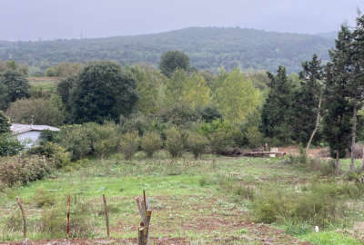 زمین ۳۰۰ متری در روستای پهنه کلا جنوبی