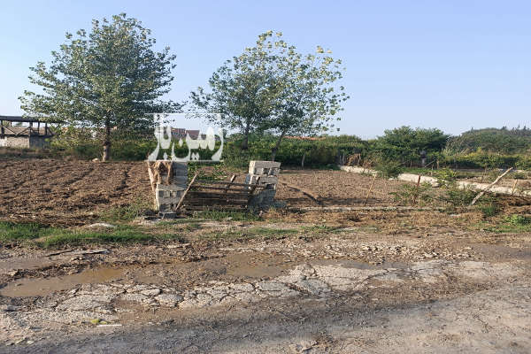 زمین ۱۱۲ متر در بلوار کشاورز ساری-4