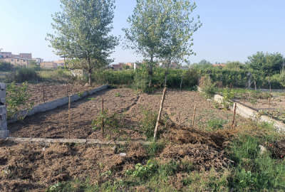 زمین ۱۱۲ متر در بلوار کشاورز ساری