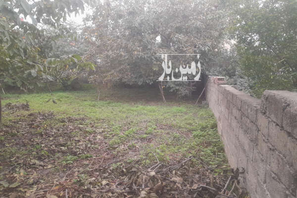 زمین باغی درشهرستان آمل به مساحت ۶۱۱متر-2