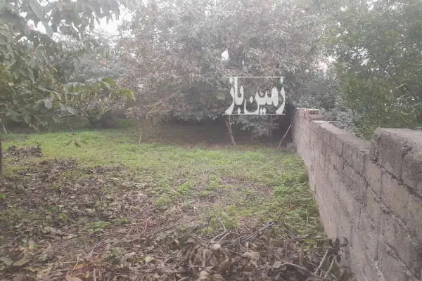 زمین باغی درشهرستان آمل به مساحت ۶۱۱متر - تصویر 2