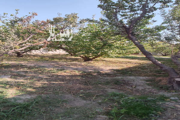 باغچه ۳۰۰ متری دهکده خوشنام ۳۰۰ متر-4