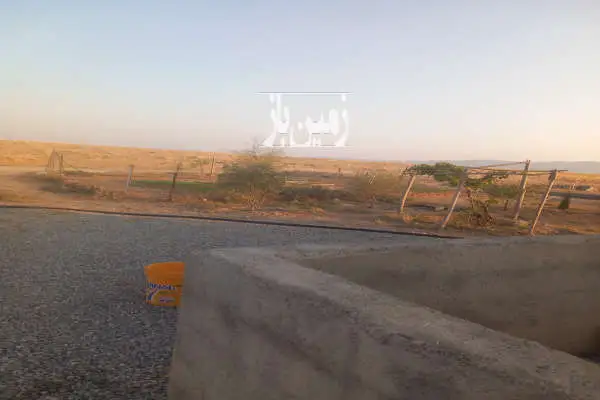 زمین مزرعه ۱۰هزار متر فارس صفاشهر - تصویر 2