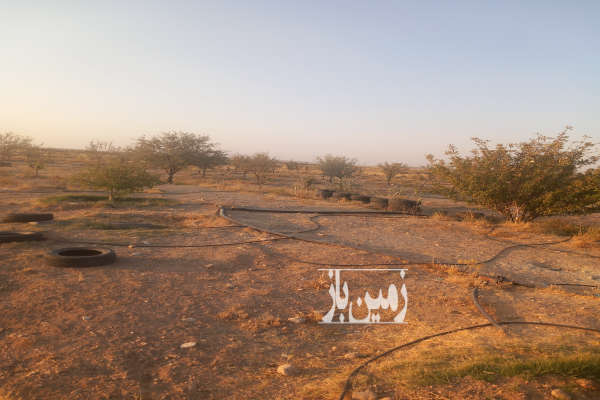زمین مزرعه ۱۰هزار متر فارس صفاشهر-4